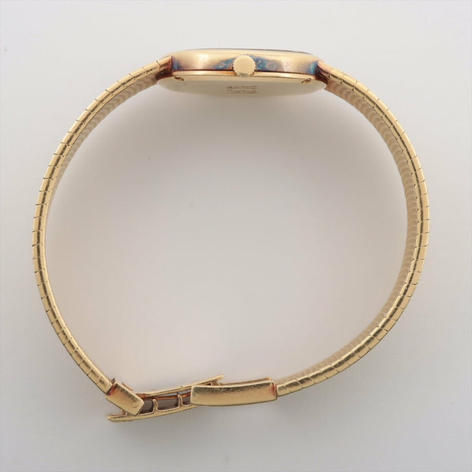 Vacheron Constantin Brazing Watch
