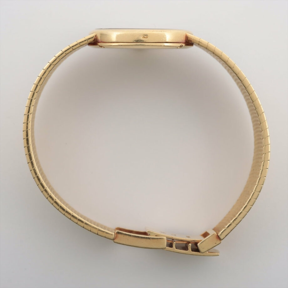 Vacheron Constantin Brazing Watch