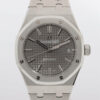 AudemarsPiguetRoyalOakb7