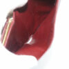 CARTIERCdecartierY15