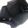 CARTIERGamacuchiV04