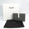 CELINEMultifunction12