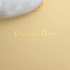 ChristianDiorCannageLeatherChainshoulderbagBeige5