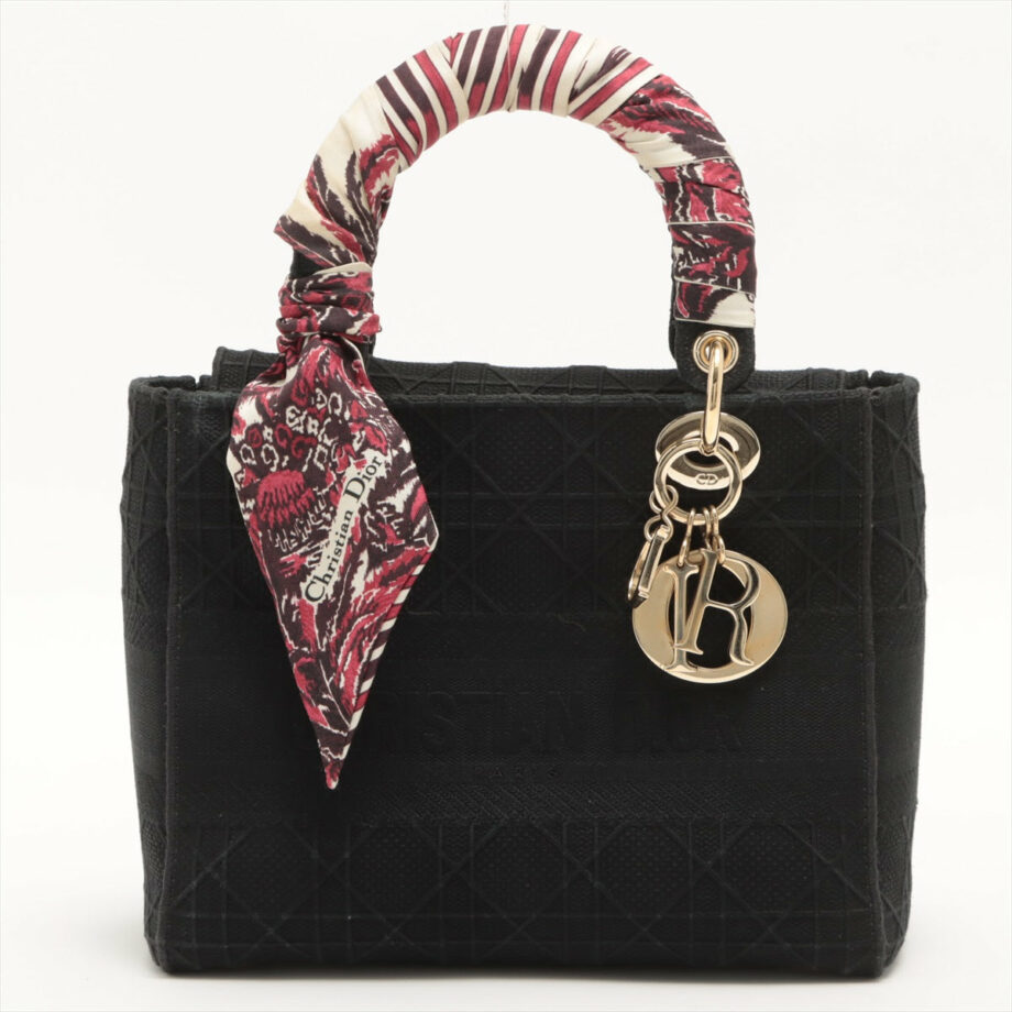 Christian Dior Lady Dee Light midium canvass 2way handbag Black