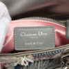 ChristianDiorLadyDiorSatinHandbagGrey8