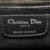 DIORKarenina1
