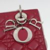 DIORLadyDior15