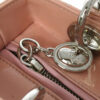 DIORLadyDior403