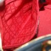 DIORLadyDior502