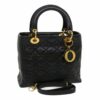 DIORLadyDior504