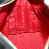 DIORLadyDior507