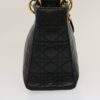 DIORLadyDior509
