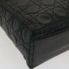DIORLadyDior510