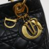 DIORLadyDior512