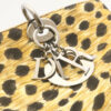 DIORLadyDior601_1