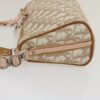 DIORTrotterCanvasShoulderBag10