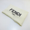 FENDI2JoursV12
