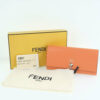 FENDIByTheWayo2
