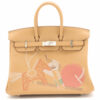 HermesBirkin25SwiftbiscuitsSilverMetalfittingsZ01