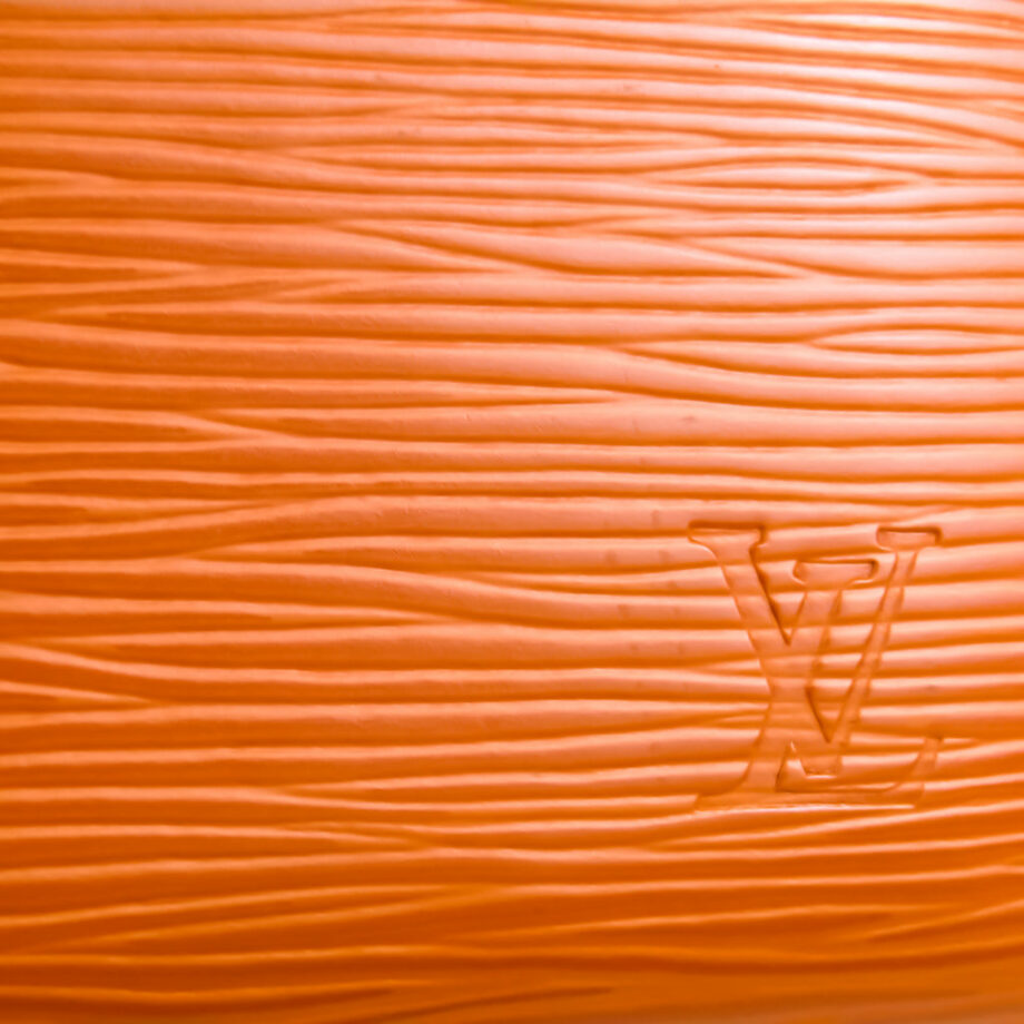 LOUIS VUITTON Zippy wallet