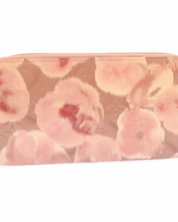 LOUIS VUITTON Zippy wallet
