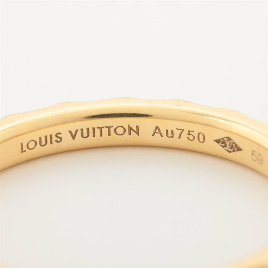 Louis Vuitton Alliance Monogram Infini