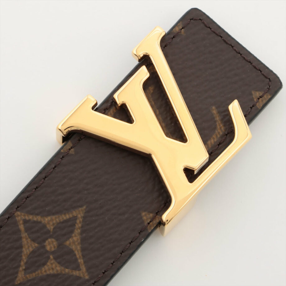 Louis Vuitton San Tulle LV Initiative
