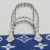 LouisVuittonMonogramGiantOntheGo06