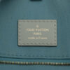 LouisVuittonMonogramGiantOntheGo09