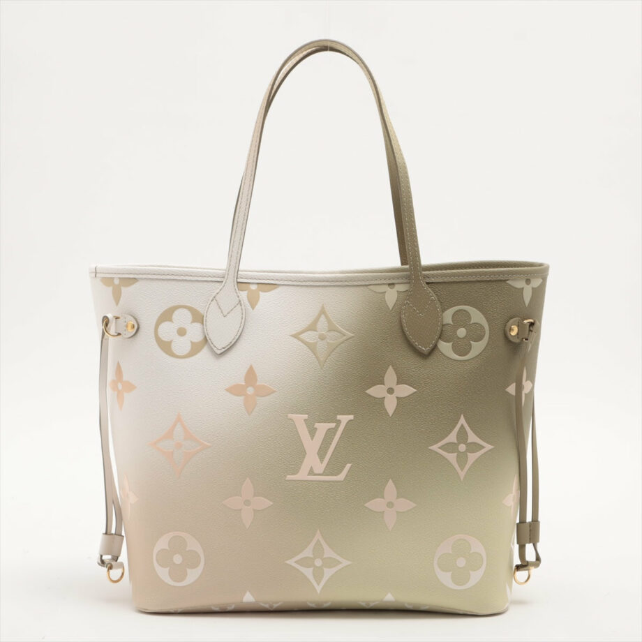 Louis Vuitton Monogram Gradation Neverfull Spring in the city
