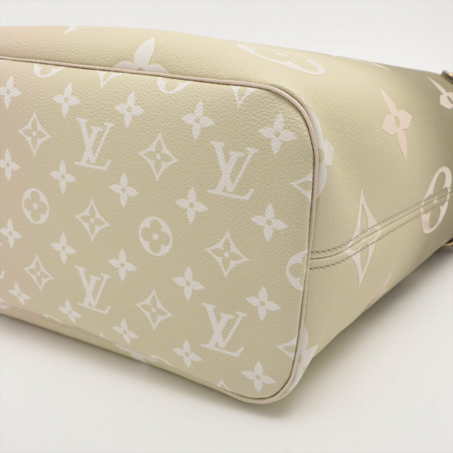 Louis Vuitton Monogram Gradation Neverfull Spring in the city