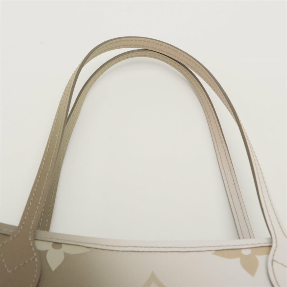 Louis Vuitton Monogram Gradation Neverfull Spring in the city