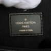 LouisVuittonMonogrammeAnplantOntheGo09