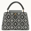 Louis Vuitton Since1854 Capucines