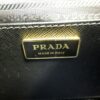 PRADATote07