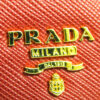 PRADAwalletGG10