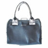 SEEBYCHLOEhandbag5