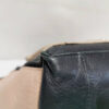 SEEBYCHLOEhandbagn2