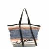 SEEBYCHLOEtote5