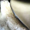 TOD_SG-linemouton02