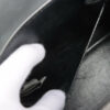 VERSACELeather2wayhandbagBlack08