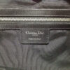 diorpanarea1