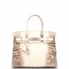 Birkin Handbag Himalaya Niloticus Crocodile with Palladium Hardware 30