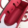 Hermes Birkin 25 picnics Swift x raffia Framboise Silver Metal fittings Z 2021 7