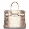Hermes Birkin Handbag Himalaya Niloticus Crocodile with Palladium Hardware 301