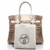 Hermes Birkin Handbag Himalaya Niloticus Crocodile with Palladium Hardware 302