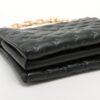 Louis Vuitton Monogram Emboss Coussin PM M577904