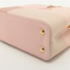 Louis Vuitton Parnassea CapucinesMINI M592683