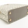 Louis Vuitton Since1854 Capucines MM M460424
