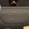 Louis Vuitton Since1854 Capucines MM M460428